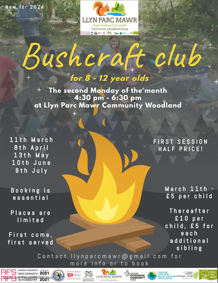 Bushcraft Club Poster. Dark background with cartoon campfire in the middle. Text says: Bushcraft club for 8-12 year olds. The second Monday of the Month, 4:30 pm to 6:30 pm at Llyn Parc Mawr Community Woodland. £10 per child and £5 for each additional sibling. Booking is essentioal, places are limited. Contact llynparcmawr@gmail.com for more information or to book.